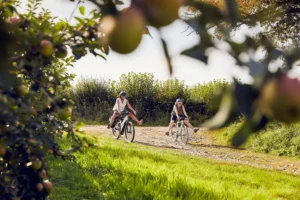 Two cyclists at Orchard White Heron properties