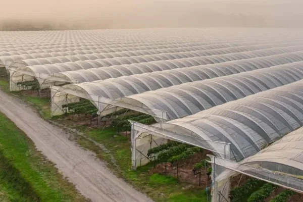 Grow tents from the sky