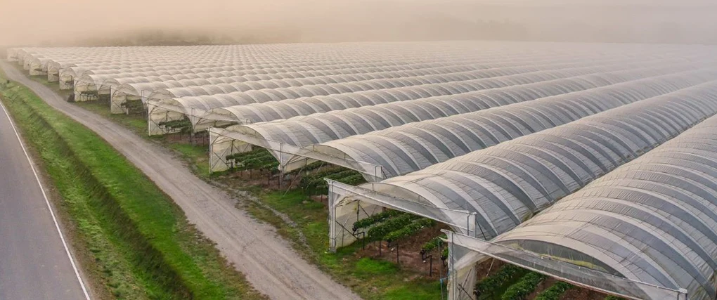 Grow tents from the sky