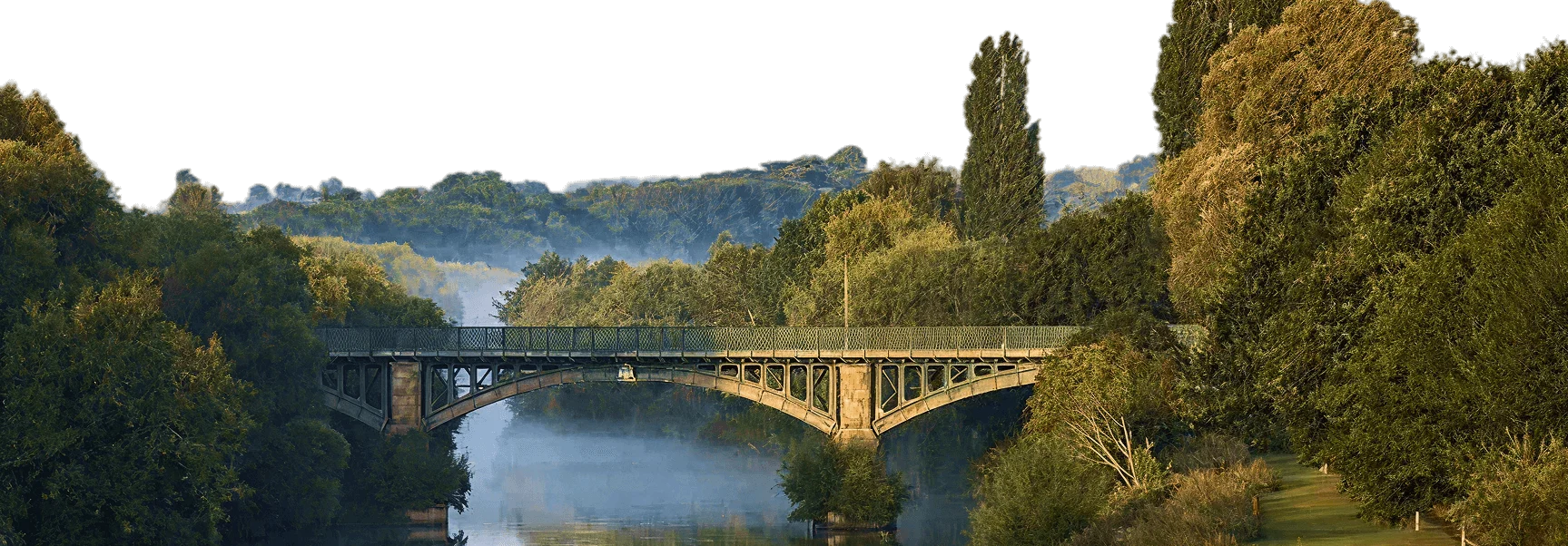 Bridge and forest in Herefordshire